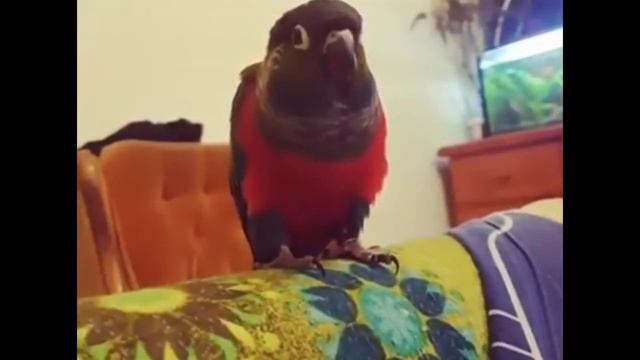 СПАСИБО БОЛЬШОЕ ВСЕМ КТО ПОМОГАЕТ ( показываю что в банке и не только)