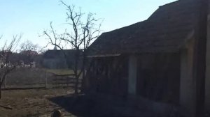 Ló veszetség (horse rabies, бешенство у коня)