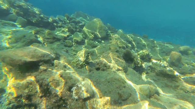 Подводная съемка в бухте Микри Гиос остров КРИТ район Иерапетра. смотреть онлайн