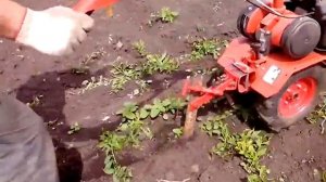 Плоскорез для мотоблока Салют своими руками