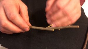 Прививка деревьев и кустарников. Лучшие способы прививки