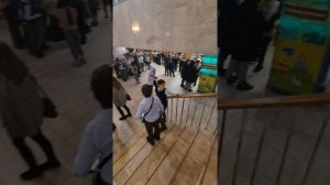 Дарвиновский музей идеально подоходит для классов начальной школы с экскурсоводом