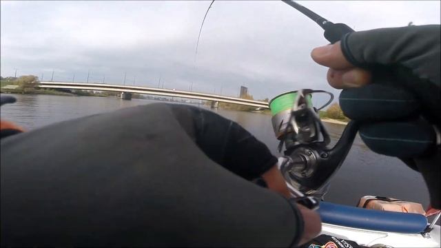 ЛОВЛЯ СУДАКА в городе. #Garmin GPSMAP 1223 Xsv #PanoptixLivescope. Live View 360 Rotator