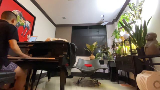Sara - Starship | Piano Cover | C.Bechstein L167 смотреть онлайн