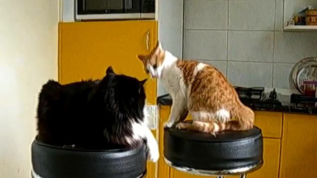 Давай, до свидания)) смотреть онлайн