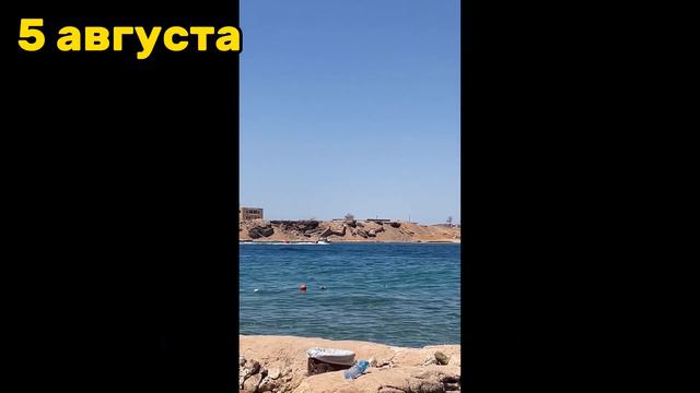 Мы в Египте ! Шарм-эль-Шейх и наш первый отпуск в Пустыне :)) смотреть онлайн