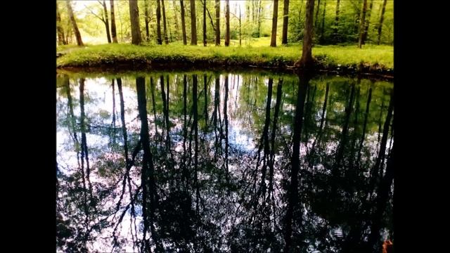 Тепло и экономия ресурсов