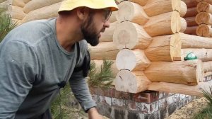 Защита торцов мастикой / Обработка торцов бревен сруба /Эксперимент / Андреевские срубы