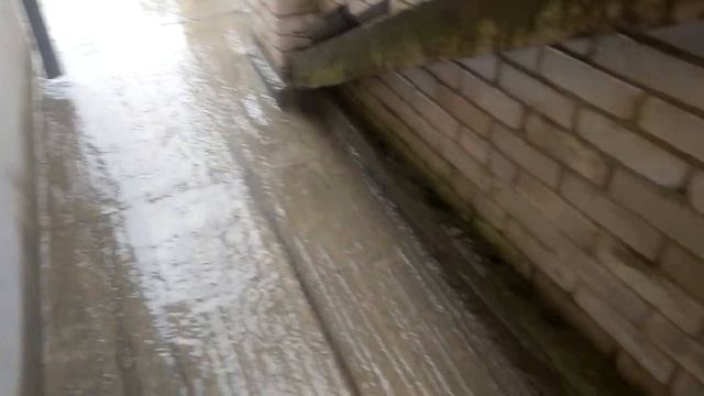 Отмостка своими руками