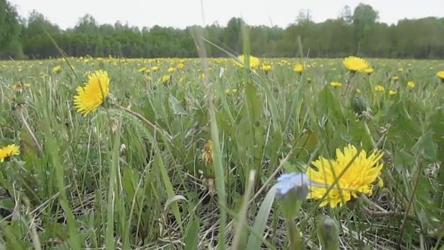 Колыбельная для доченьки. Песня любящей мамы смотреть онлайн