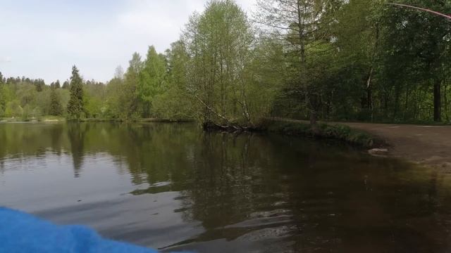 #420 #мормышинг| Микро речка | Плотвиный СХОДНЯХ | смотреть онлайн