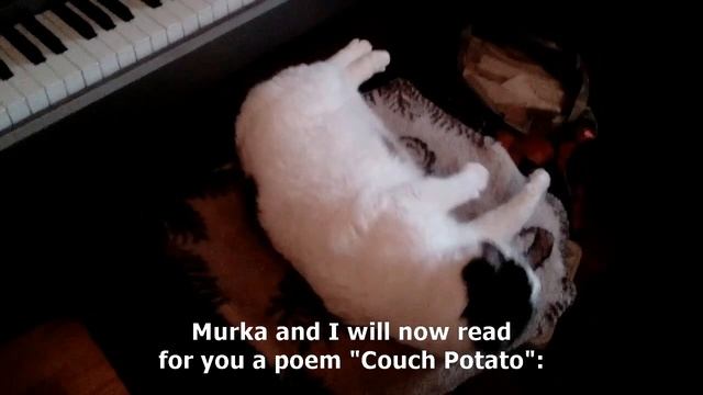 Мурка-Лежебока (Murka, The Couch Potato)