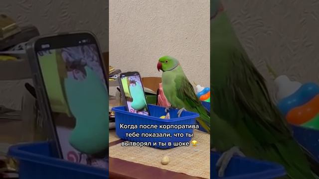 В шоке смотреть онлайн