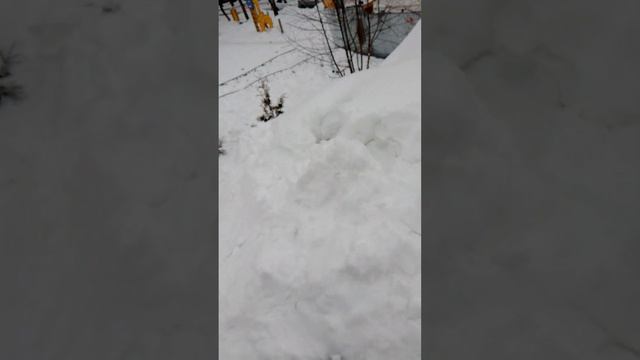 2часть паркура про потив нуба кто победил вам решать предного просмотра смотреть онлайн