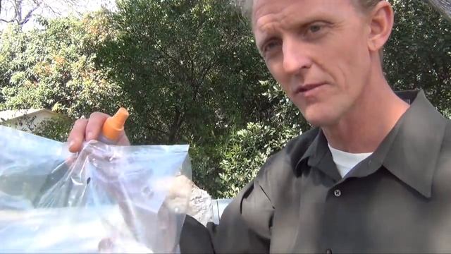 Set Up and Growing Tips for Shiitake Mushroom Block Kit смотреть онлайн