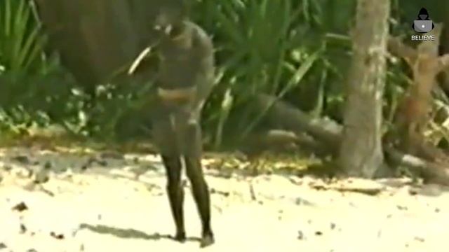 The Man Who Went Alone to the Most Dangerous Island in the World смотреть онлайн