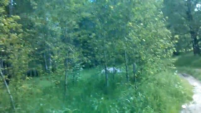 Ботанический сад СО РАН, на южном рубеже, лето 2014 смотреть онлайн