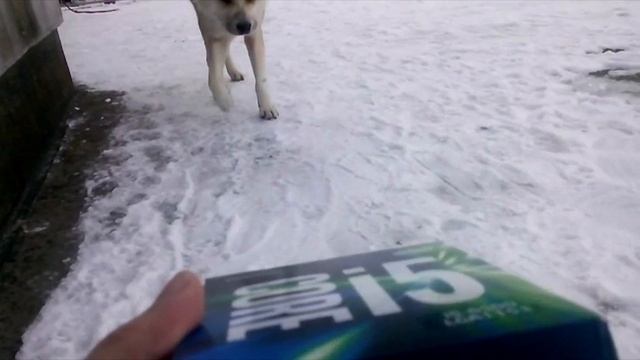 What it feels like to get an i5-6500 смотреть онлайн