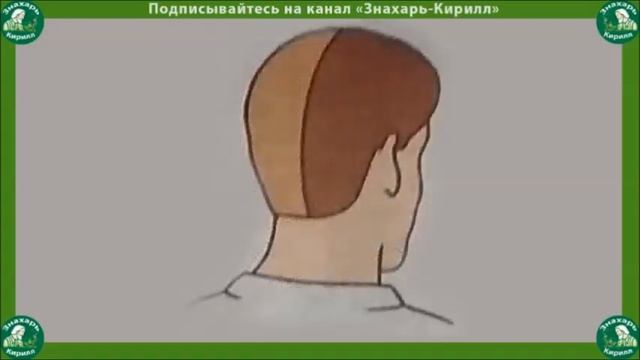 ГОЛОВНАЯ БОЛЬ.| 6 ПРИЗНАКОВ ГОЛОВНОЙ БОЛИ.ДИАГНОСТИКА.?♂️ смотреть онлайн