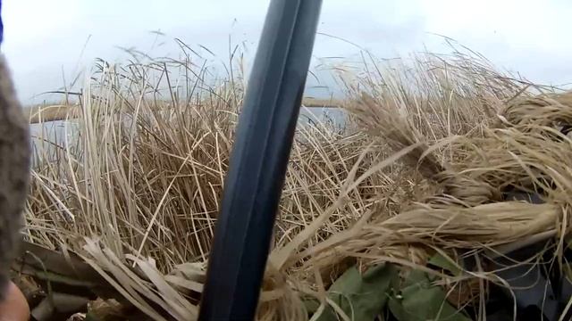 Северная утка. Поздний пролет. Осень 2016 г. смотреть онлайн