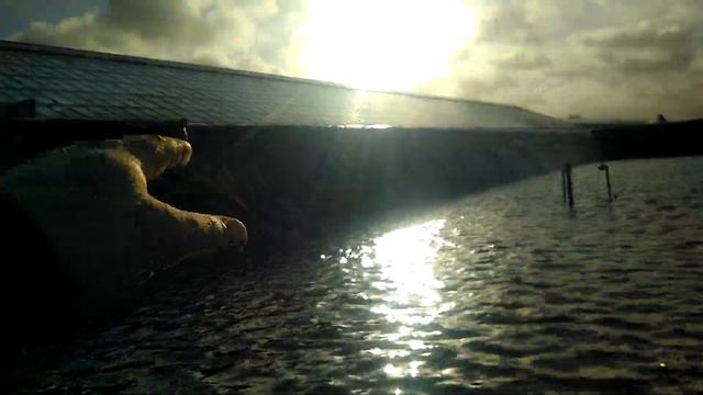сборник дождевой воды для теплиц смотреть онлайн