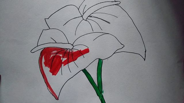 Draw to Anthurium easy drawing step by step смотреть онлайн