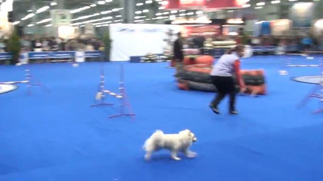 Евразия, Финал, мини смотреть онлайн