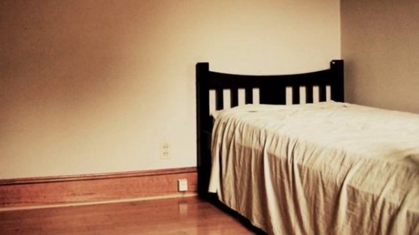 Паразиты, которые живут в Вашей постели / Parasites that live in your bed