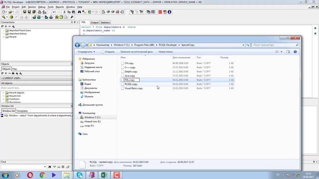 PL SQL Developer special copy смотреть онлайн
