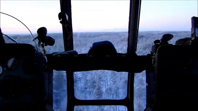 ПМВ лес смотреть онлайн