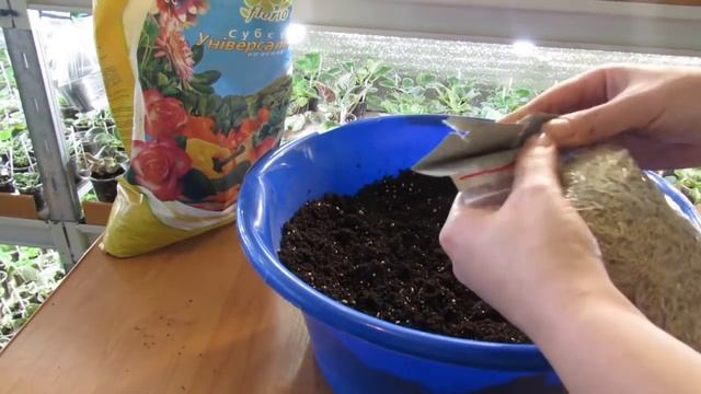 КАК СОСТАВИТЬ СУБСТРАТ ДЛЯ ФИАЛОК .ОТЛИЧНЫЙ РЕЦЕПТ смотреть онлайн