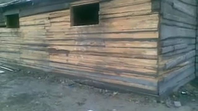 Армия полигон далама.mp4 смотреть онлайн