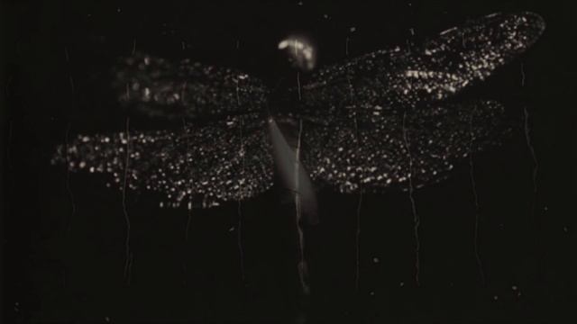 Masao Yamamoto  - 山本昌男 - Photography