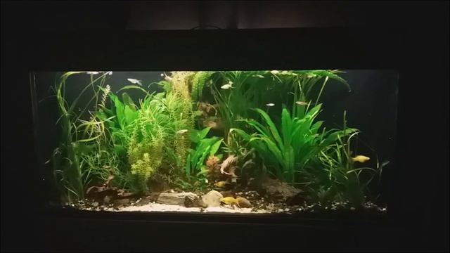(135) Akwarium 300l Po Wakacjach