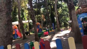 Обзор отеля «Дельфин Ботаник Платинум 5*»