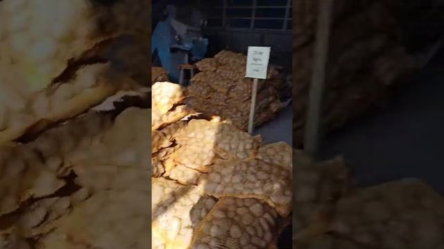 Картофель,# мешок картошки,#цена,#Германия#shorts#? смотреть онлайн