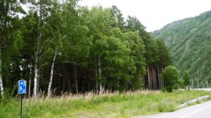 Черёмушки, Хакасия. Чудо Саян | Посёлок гидростроителей на Енисее