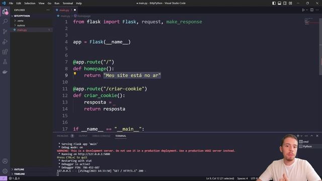 Como Usar Cookies com Python - Flask e Gerenciamento de Cookie смотреть онлайн