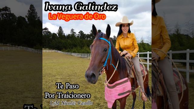 Te Paso Por Traicionero - Ivana Galíndez "La Veguera de Oro" - LyM Nicolás Castillo смотреть онлайн