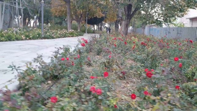 Seljuk Konya смотреть онлайн
