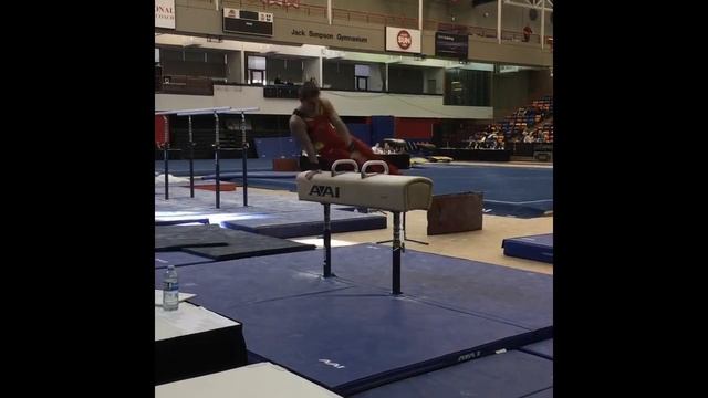 Michael Thorpe - Gym Canada Skills Program 2018 смотреть онлайн