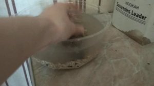 Чем кормить русскую псовую борзую