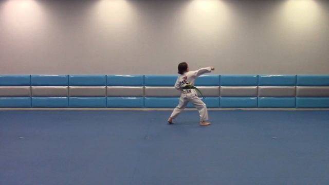 Gracie TG 2