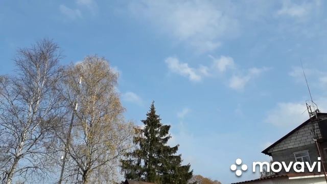Дальнобой. Один, совсем один. смотреть онлайн