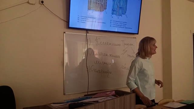 Занятие 3.Лишайники.Ткани растений смотреть онлайн