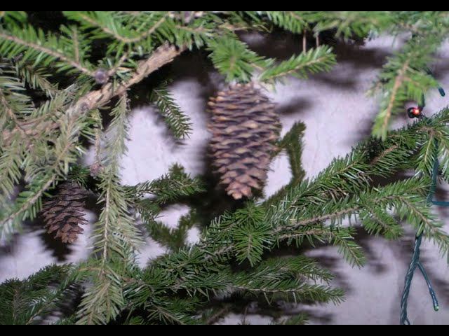 Новый год 2023