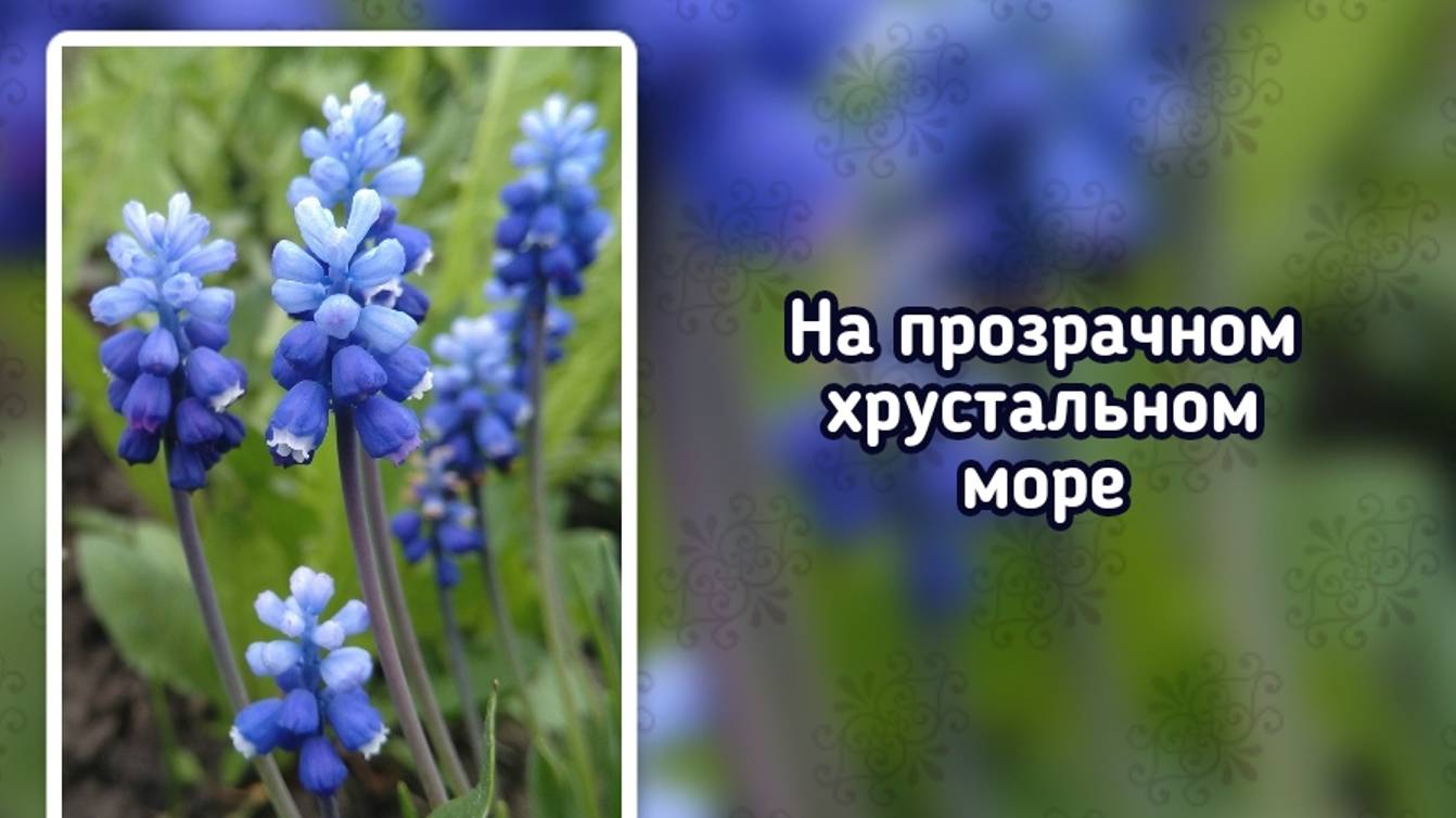 На прозрачном хрустальном море (+) смотреть онлайн