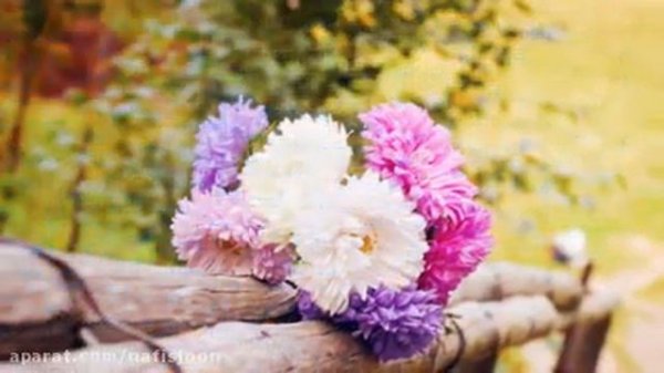 Мухаммади Исфахони