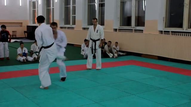 Подготовка Рубцовской сборной по Киокушин каратэ. смотреть онлайн