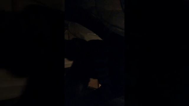 Пранк как как напугать маму смотреть онлайн